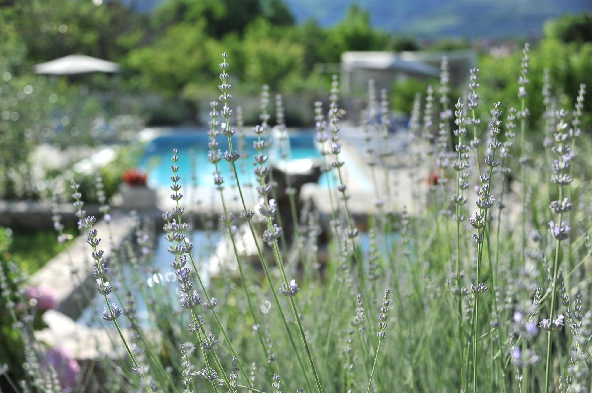Pool House Maslina Apartamento Mostar Exterior foto
